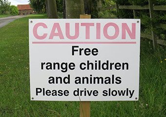 Ferry Hill Farm Free Range Children!
